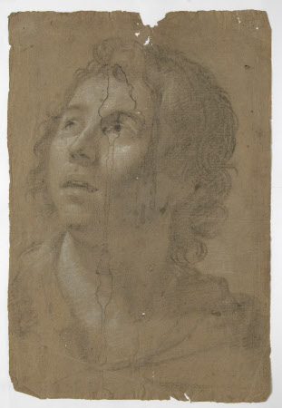 Charcoal and chalk drawing