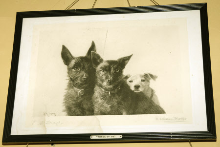 The Three of Us