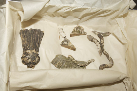 Carving fragment