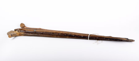 Cane