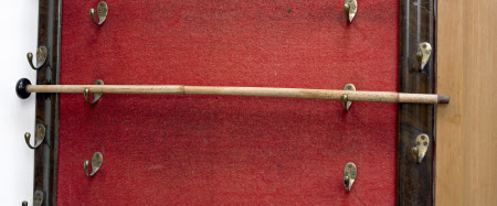 Cane