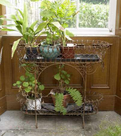 Plant stand