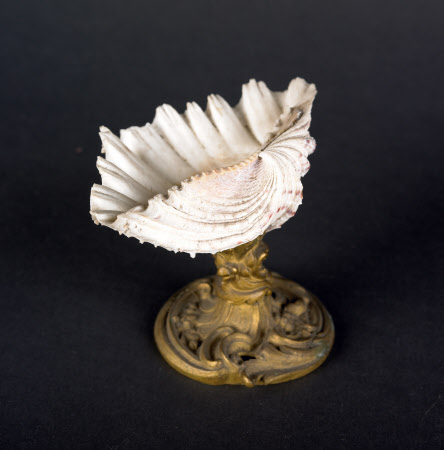 Shell