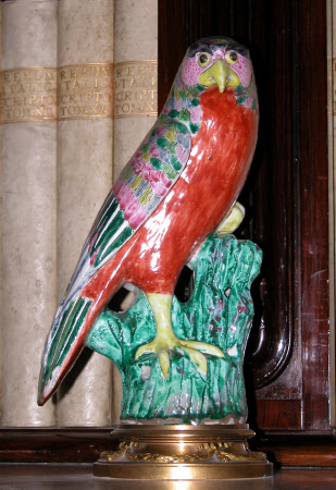 Hawk