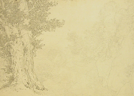 Study of an Oak Tree at Nemi 