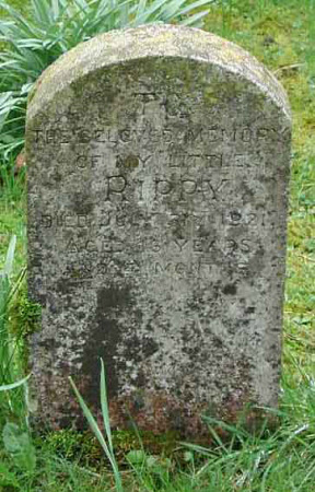 Gravestone for a pet animal called 'Rippy' 