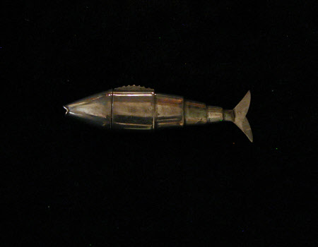 Fish