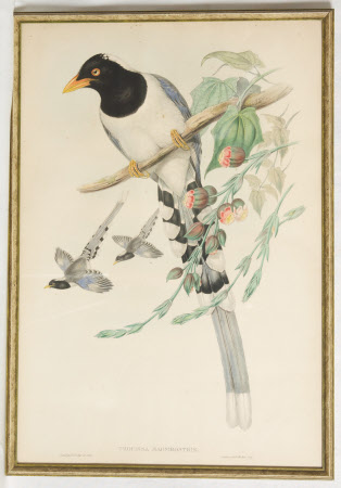 Engraving