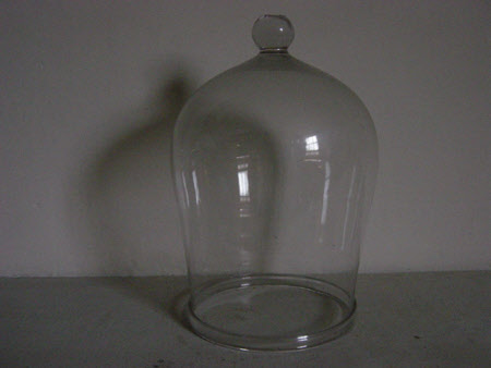 Dome