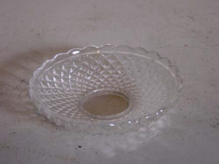 Dish