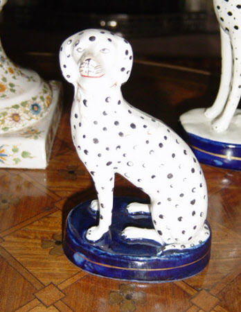 Dalmatian facing left