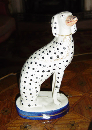 Dalmatian facing right