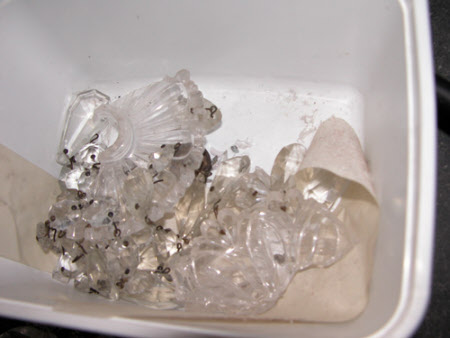 Wimpole Hall © National Trust / Sue James