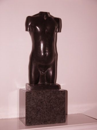 Male torso