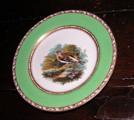 Brambling