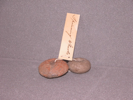 Whorl
