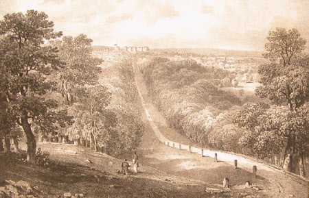 The Long Walk, from the Top of Snow Hill, Windsor, Berkshire