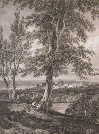 Windsor Castle from the Park