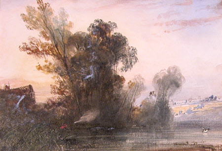 Duck Shooting