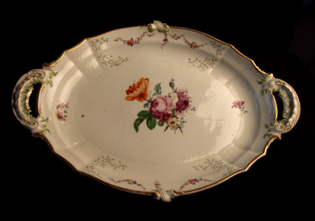 Dish