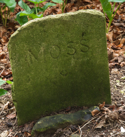 Gravestone