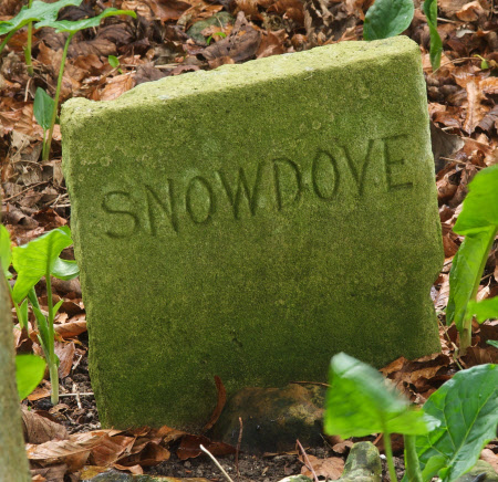 Gravestone