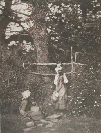 Three little girls in the Wood.