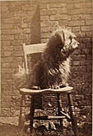 “Rough, 1892” .