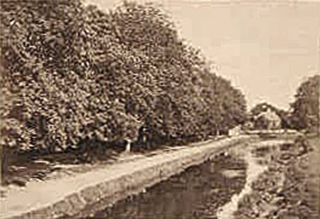 “Canal at Bathampton”