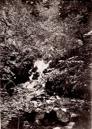 “Seetoller, Aug 9, 1898” .