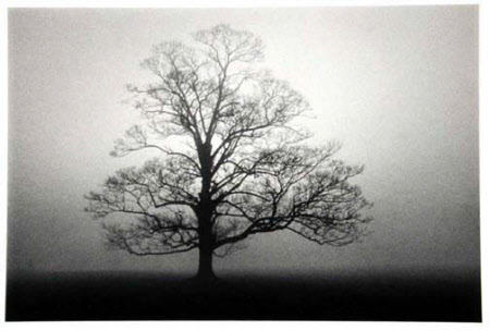 Lacock Abbey, Study 1, Wiltshire, England, 1983