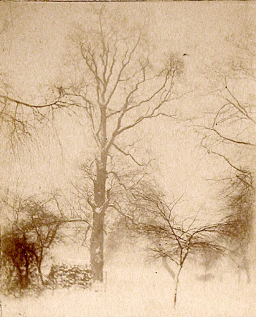 “St. James’ Park Jan 27, 1895” .