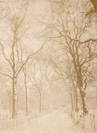 “Hyde Park, Jan 27, 1895” .