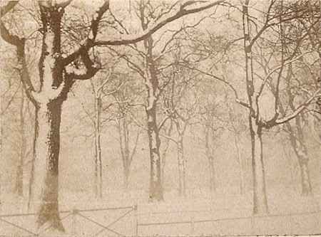 “Hyde Park, Jan 27, 1895” .