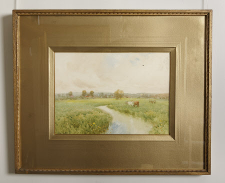 Meadows on the River Avon