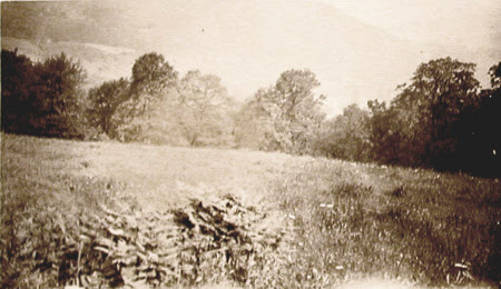 Contained in album