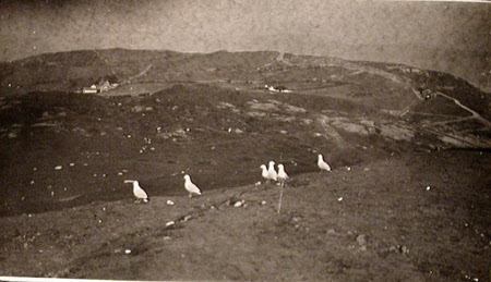 Contained in album