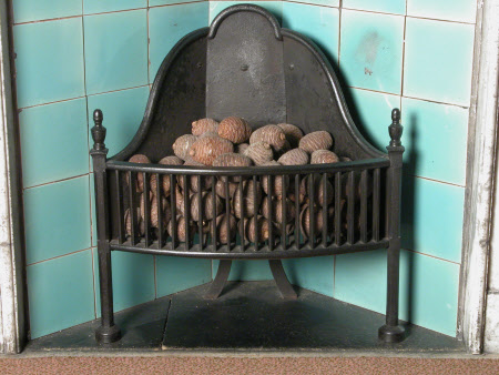 Fireplace grate