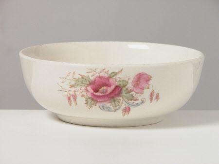 Soap dish bowl
