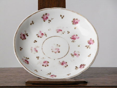 Saucer