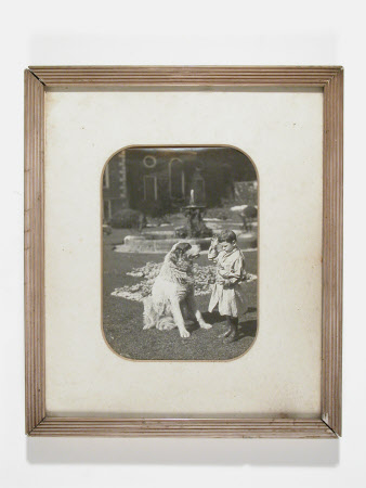 Philip Yorke III (1905-1978) as a boy aged approx. 5 with a ?St Bernard, on the East Front parterre ...