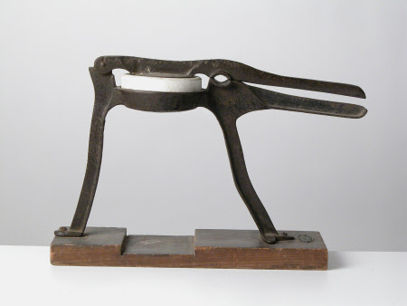 Lemon squeezer machine