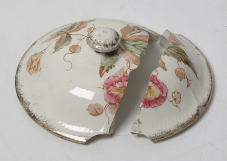 Dish lid