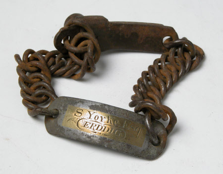 Dog's collar