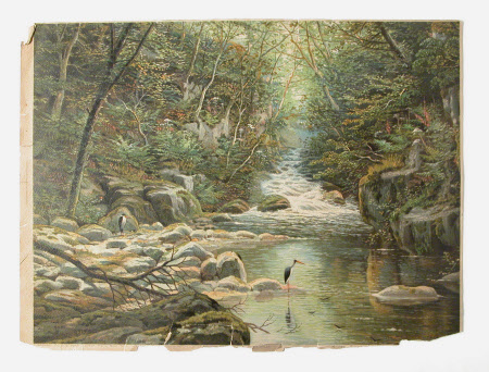 Fairy Glen - North Wales