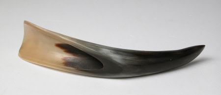 Shoehorn