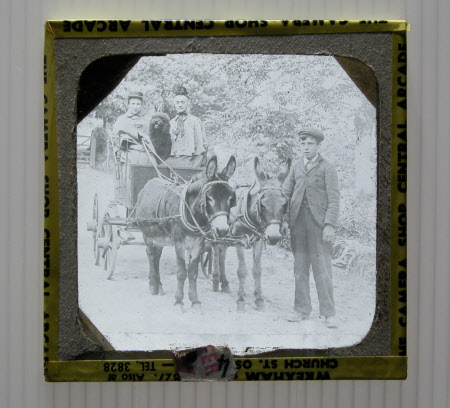 Harriet Rogers in a donkey cart.