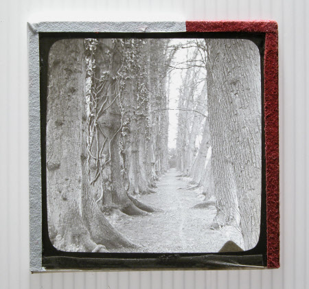 Slide (photograph)