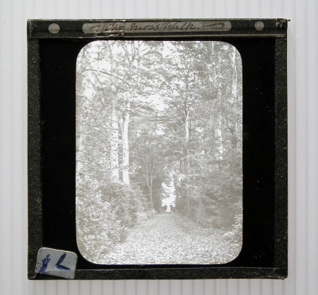 Slide (photograph)