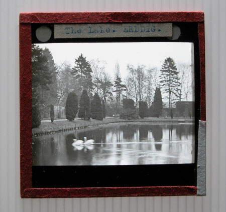 Slide (photograph)